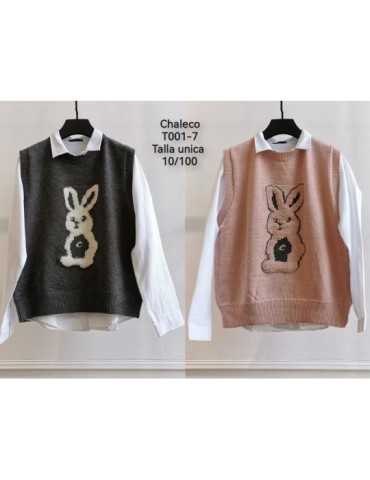 Chaleco T001-7 (Pack6)