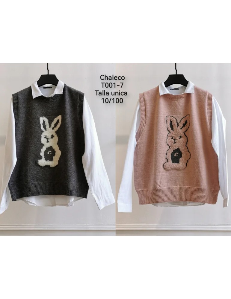 Chaleco T001-7 (Pack6)